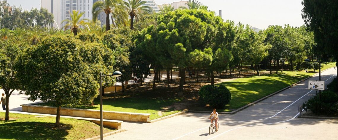 viaggiare a valencia spendendo poco - bici sul turia