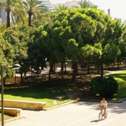 viaggiare a valencia spendendo poco - bici sul turia