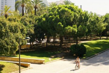 viaggiare a valencia spendendo poco - bici sul turia